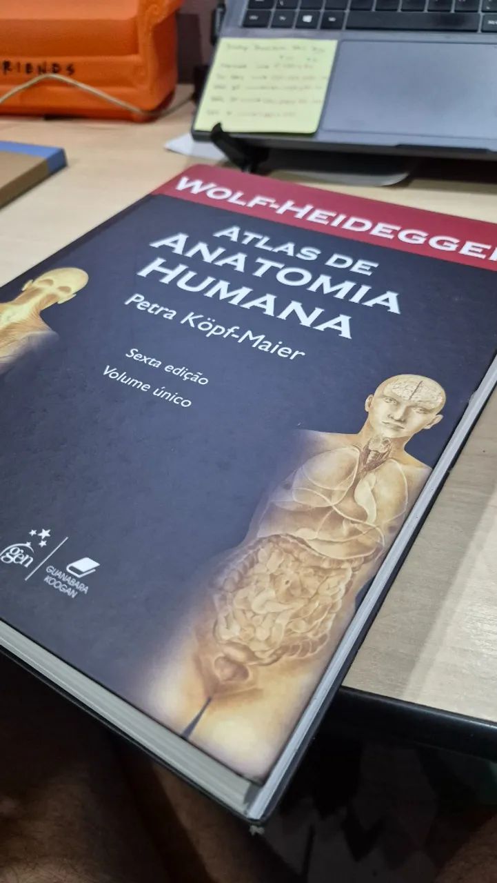 Atlas de anatomia Wolf Heidegger 6 edição