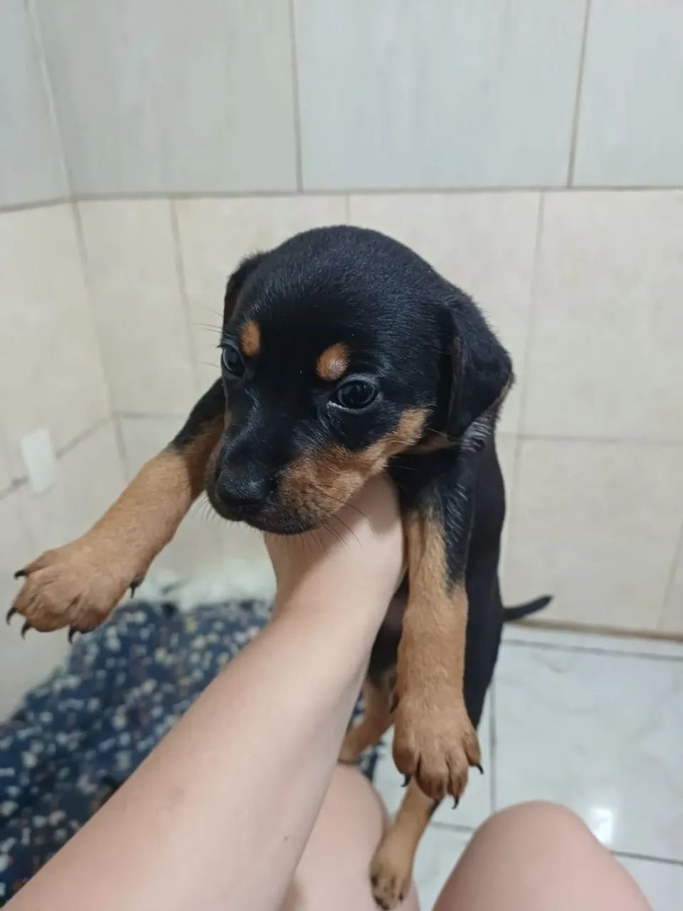 Doação - Foto 3