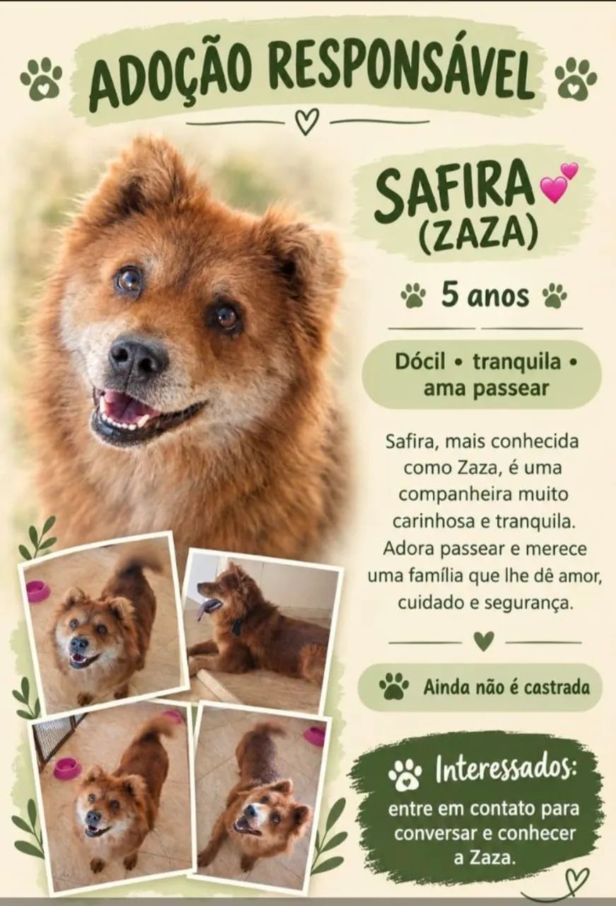 Doação 