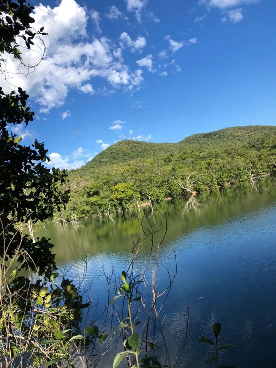 Fazenda/Terra - Área de 36 alqueires Escriturada - Foto 2