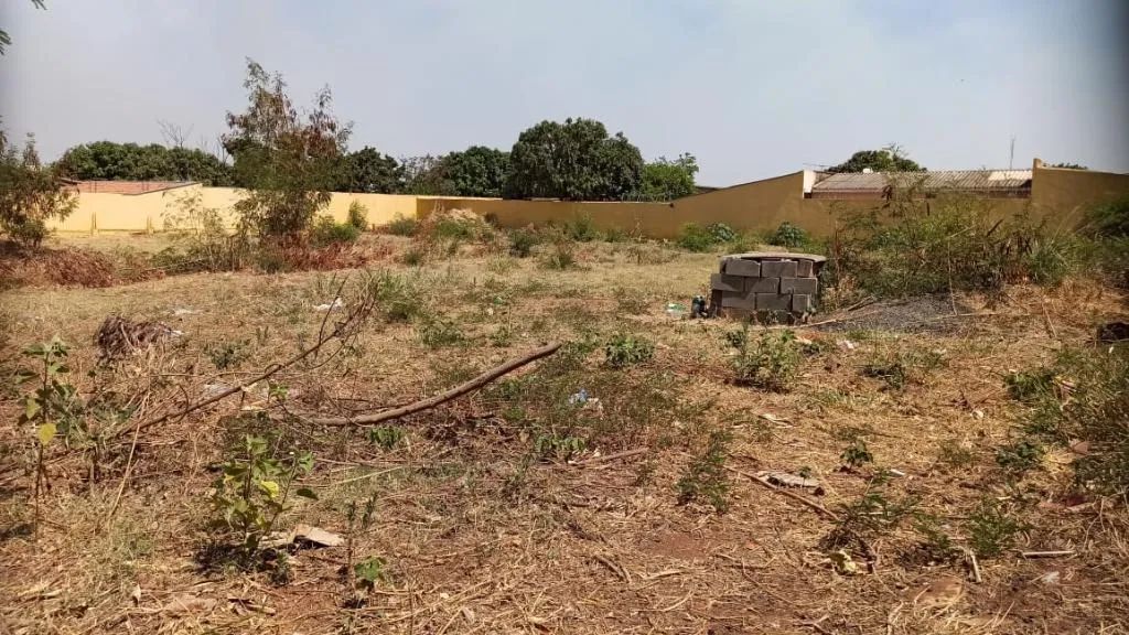 Terreno  Área em Uberlândia - Foto 2