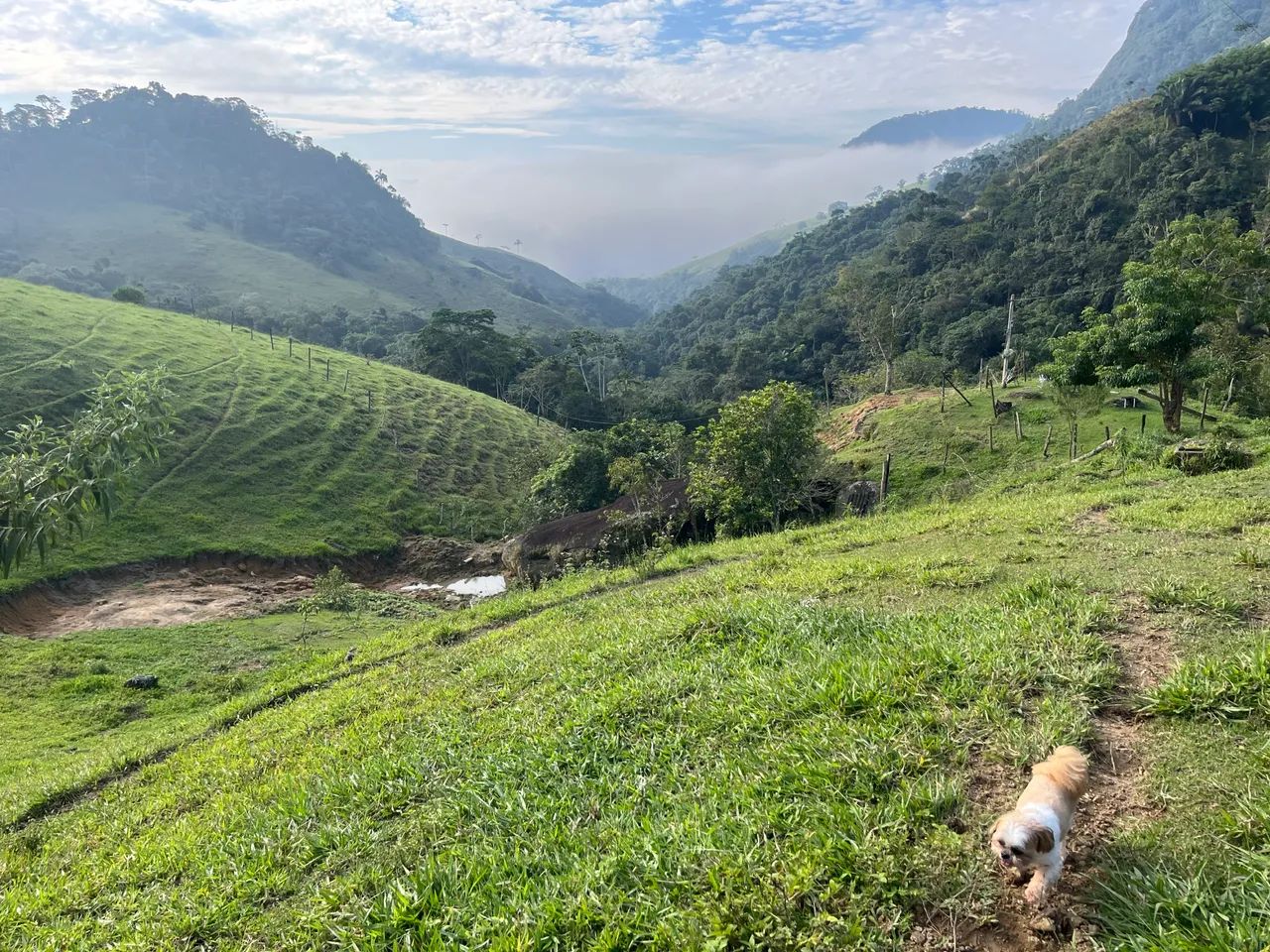 Foto - Rio Claro - Lídice