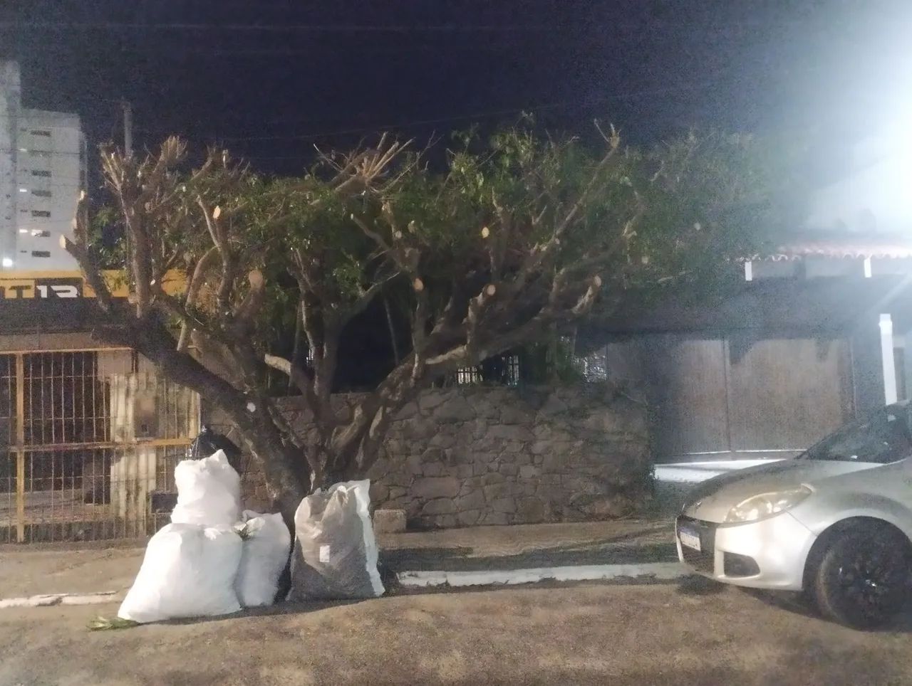 *Jardinagem* - Foto 3