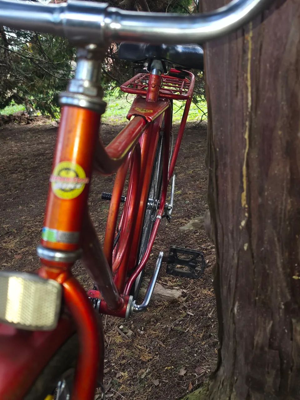 Bicicleta - Foto 4