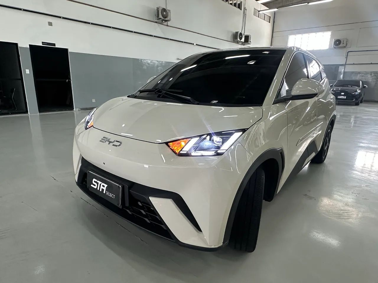 BYD Dolphin Mini (Elétrico) 2027