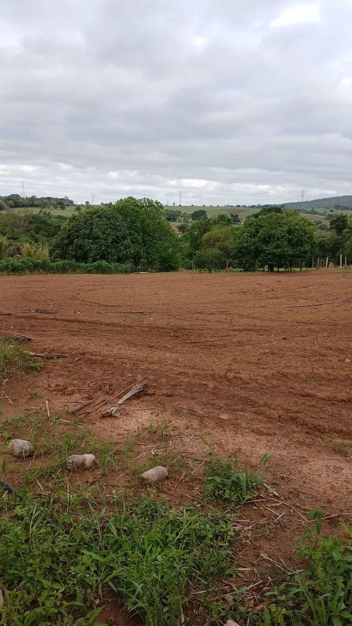 Lote para Chácara  - Foto 3