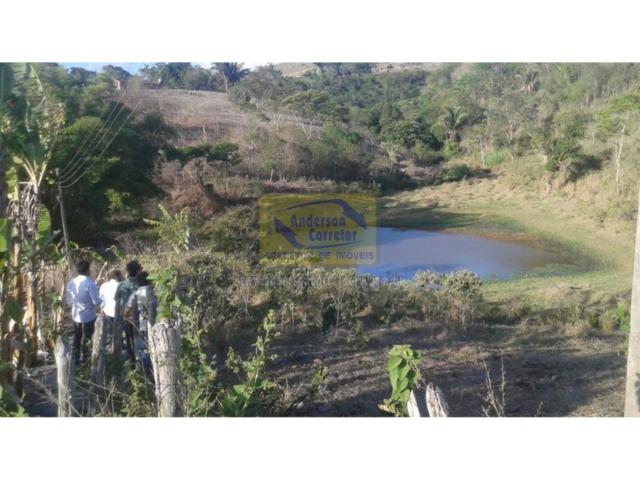 Excelente Área ? Com 6 Hectares - Chã-Grande/PE Propriedade ID : A0317 - Foto 15