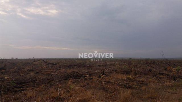 Fazenda campo belo! - Foto 18