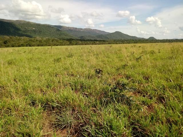 Fazenda em Rosário Oeste ha 140 km de Cuiabá - Foto 17