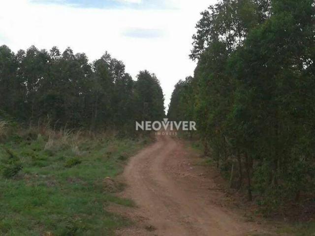 Fazenda campo belo! - Foto 3