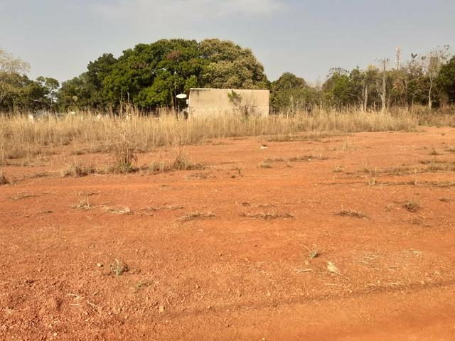 Vendo dois terrenos na Vila sucuri 11×30 cada - Foto 9