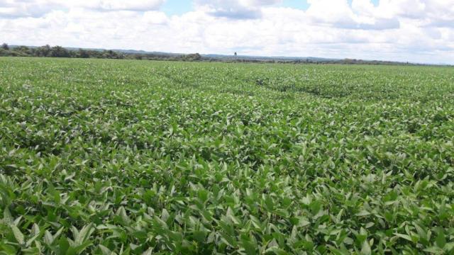 Fazenda à venda, 9801000 m² por R$ 45.000.000 - Jardim Lindóia - Goioere/PR