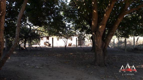 Chácara à venda em Pedra 90, Cuiabá cod:602 - Foto 17