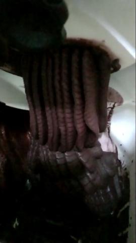 Máquina Produtora de açaí ou sorvete cremoso - Foto 3