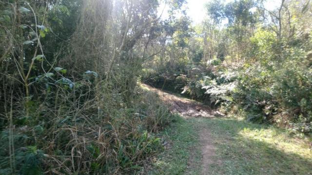 Chácara à venda, 25000 m² por R$ 115.000 - Bacaetava - Colombo/PR - Foto 5