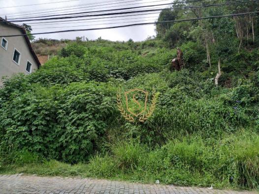 Terreno à venda, 741 m² por r$ 98.000,00 - pimenteiras - teresópolis/rj - Foto 2