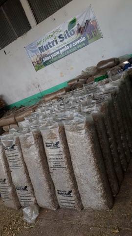 Silagem ensacada e silo a granel