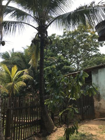 Casa a venda, Bairro Santa Inês, Contato 99938 76 14 Ou 99929 75 98 - Foto 2