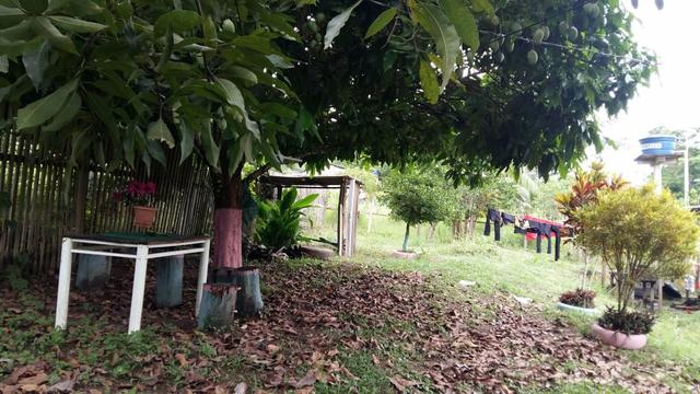Vendo ou troco por casa em Rio Branco ou em colonia. - Foto 9