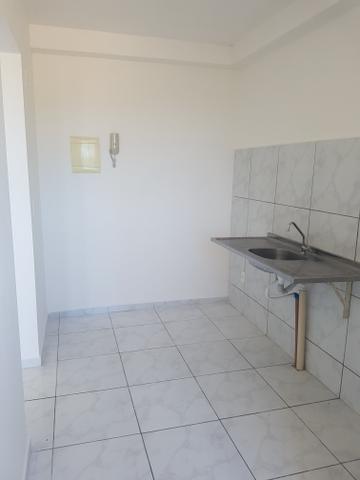 Apartamento para alugar - Foto 14