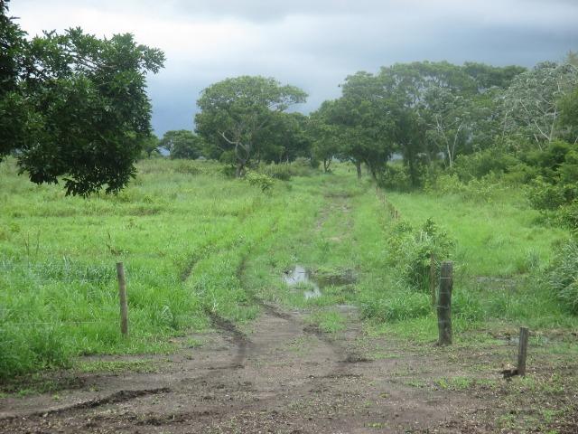Fazenda na região do abobral,pra venda e arrendamento.2,800 ha - Foto 2