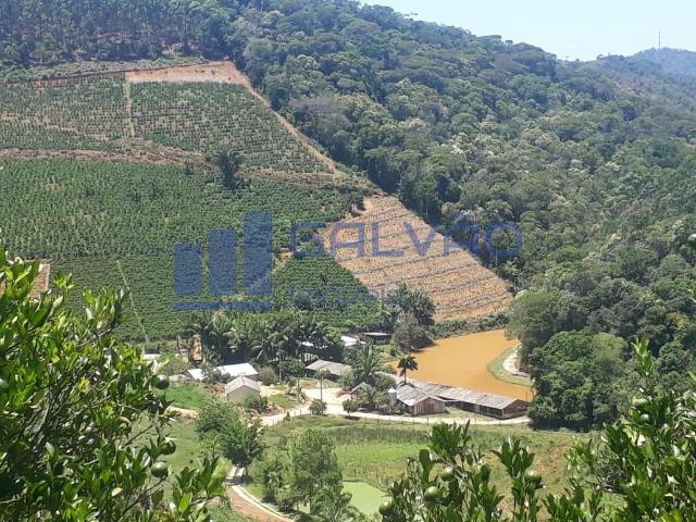 JG. Sítio de 234 mil m² com casa de 3 quartos com suíte em Marechal Floriano! - Foto 17