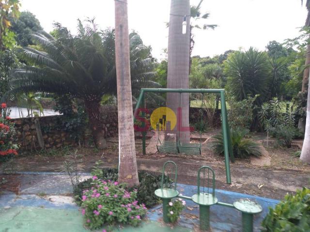 Chácara à venda, 20 hectares por r$ 1.500.000 - br-343 - altos/pi - Foto 15