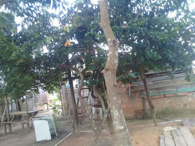 Vendo casa no município de autazes - Foto 4