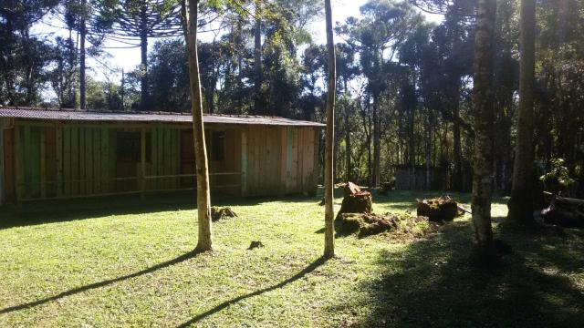 Vende se Chácara (16km do Centro de Contenda) - Foto 4