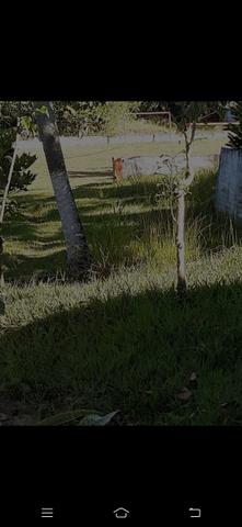 Chácara em Dias D'Ávila - Foto 2