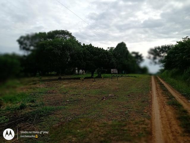 Chacara - Foto 12