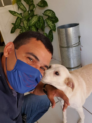 Veterinário Domiciliar - Foto 2