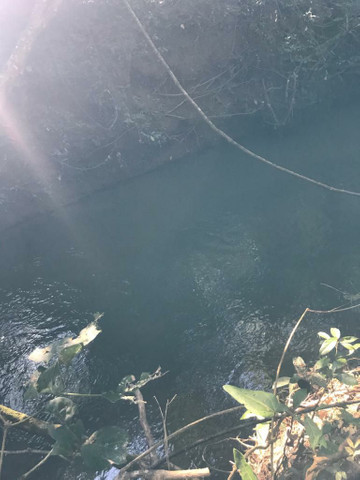 R$ 29.000 Chácaras Em Piracanjuba - Foto 4