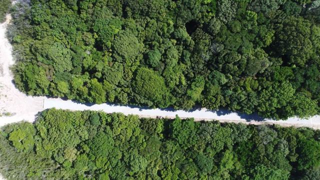 Chácara Bonfim - 1000m² - Cond. de Alto Padrão - Foto 4
