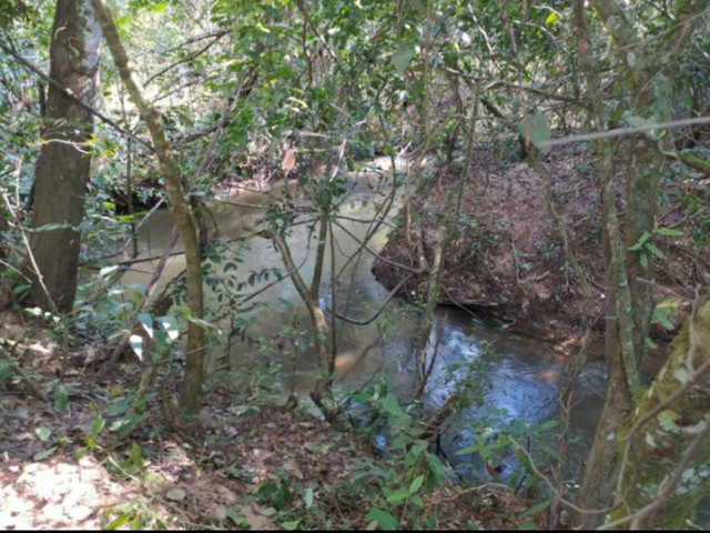 R$ 29.000 Chácaras Em Piracanjuba - Foto 3