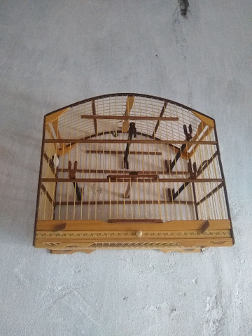 Carioquinha de passeio
