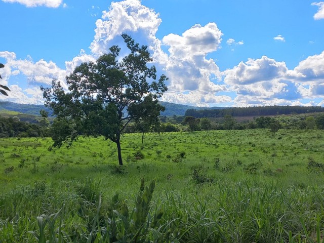 Mega Fazenda em Minas Gerais 2.295 hectares 