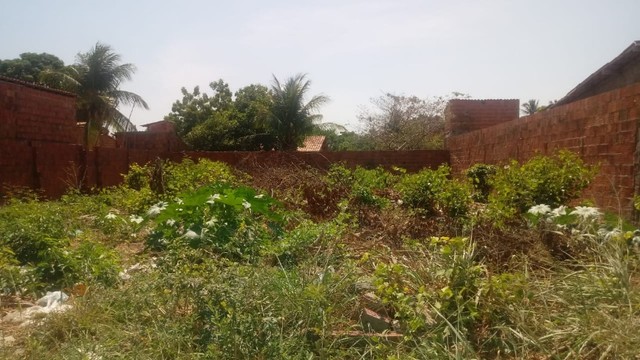 Terreno no bairro Jabuti - Itaitinga  - Foto 3