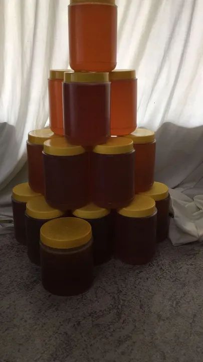 Mel de abelha puro, potes de 1kg