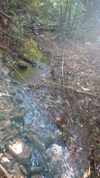 Chacara em Anapolis Chácara à Venda, 67920 por R$ 1.500.000 AD22598 - Foto 5