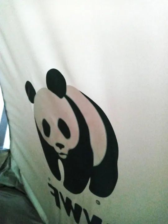 Barraca WWF Panda Camping Iglu Tenda 2 Pessoas ou 4 crianças - Nova - Foto 3