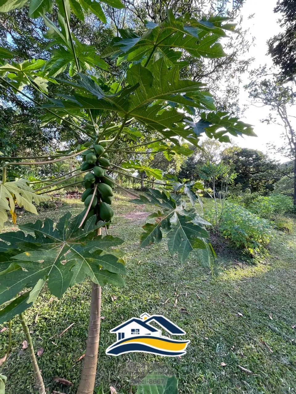 Granja no Conde-Pb muito bem localizada. - Foto 3