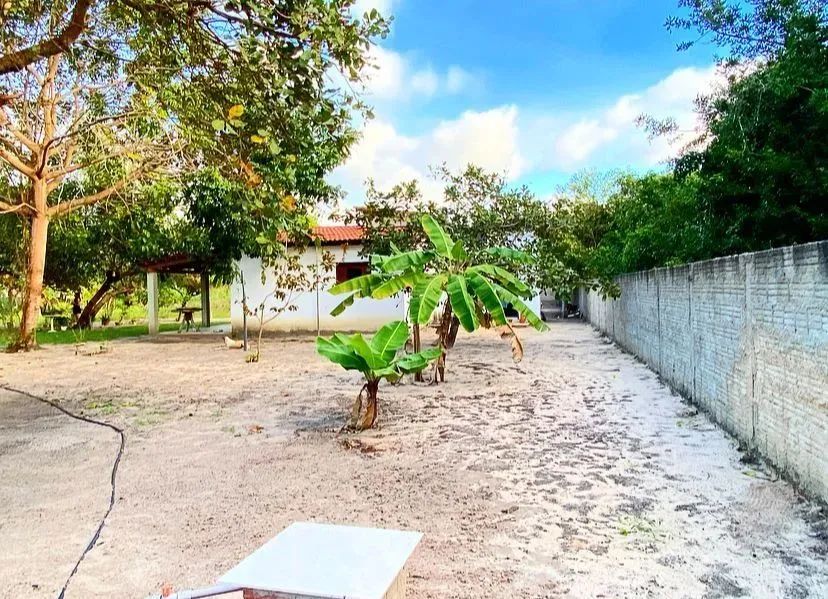 Chácara com 2 dormitórios à venda, 2000 m² por R$ 350.000,00 - Lagoa Do Bonfim - Nísia Flo - Foto 5