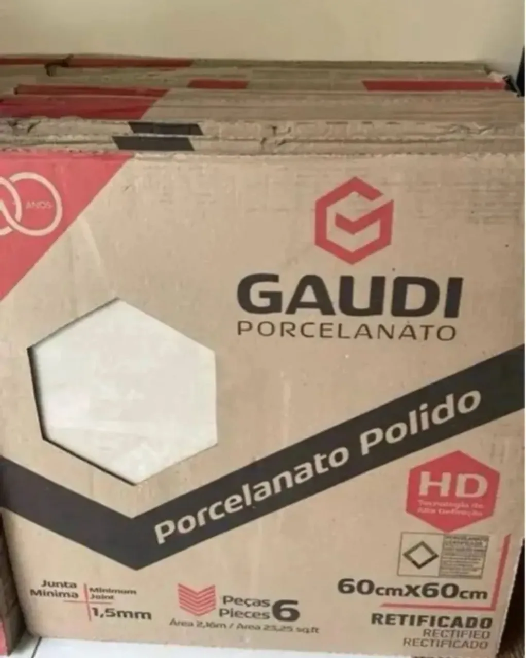 Porcelanato Polido Gaudi 60x60cm - 6 peças