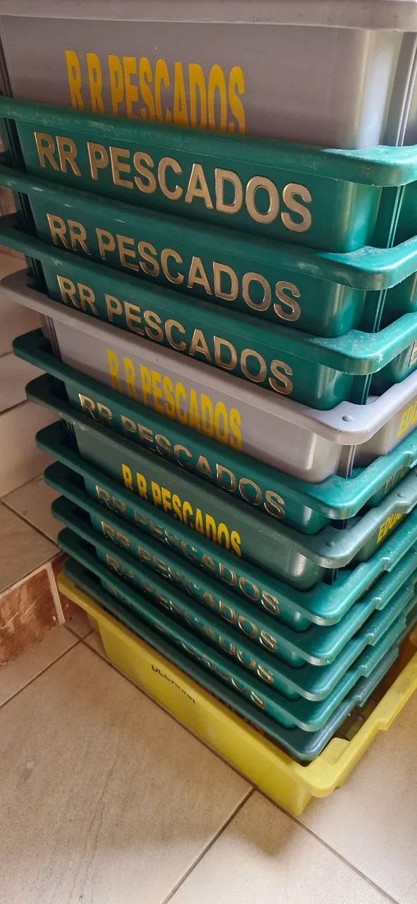 Conjunto de Caixas Frigoríficas cores variadas - Foto 2