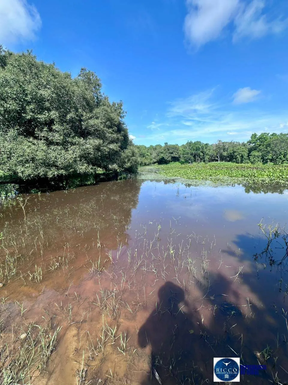Fazenda à Venda em Peixe - TO, com Acesso ao Rio Tocantins  51 Alqueires