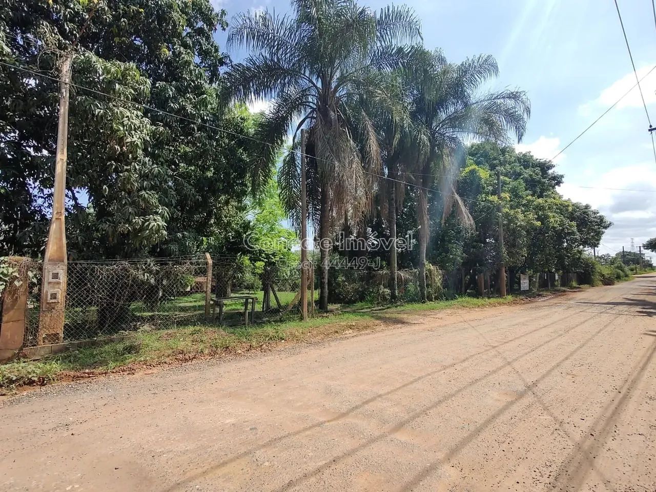 Sítio com lago no fundo, barracão e estufas à venda na Borda da Mata em Holambra/SP - Foto 5