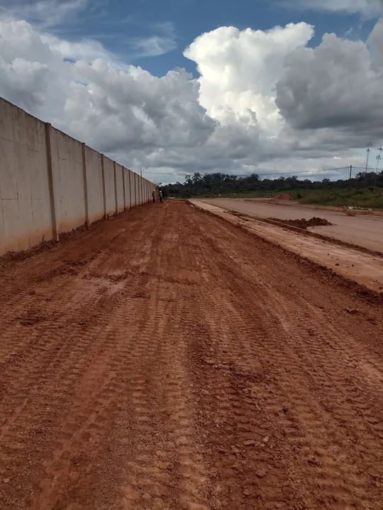 Grama esmeralda  - Foto 4