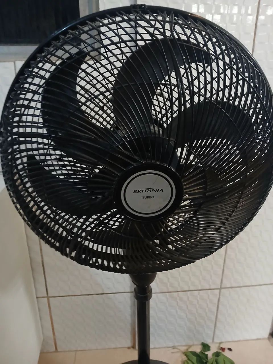 Desapegos imperdível pia 200 ventilador 150 - Foto 3
