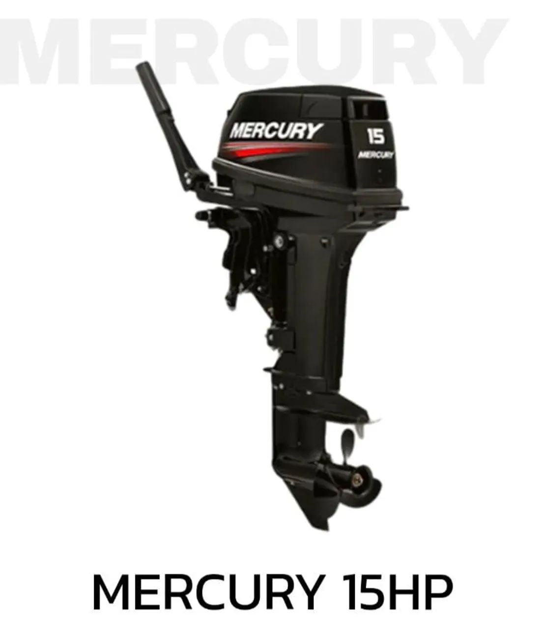 Canoa 4,5mt motor Mercury 15Hp Super - Foto 6